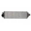 Intercooler, échangeur THERMOTEC DAX015TT - Visuel 1