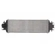 Intercooler, échangeur THERMOTEC DAX015TT - Visuel 2
