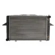 Radiateur, refroidissement du moteur THERMOTEC D7V008TT - Visuel 1