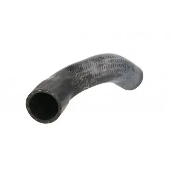Durite de radiateur THERMOTEC DWX164TT