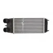 Intercooler, échangeur THERMOTEC DAC003TT - Visuel 1