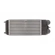 Intercooler, échangeur THERMOTEC DAC003TT - Visuel 2