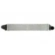 Intercooler, échangeur THERMOTEC DAG008TT - Visuel 1