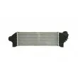Intercooler, échangeur THERMOTEC DAG010TT - Visuel 2
