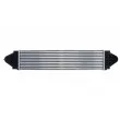 Intercooler, échangeur THERMOTEC DAI001TT - Visuel 1