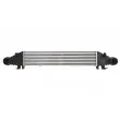 Intercooler, échangeur THERMOTEC DAM008TT - Visuel 1