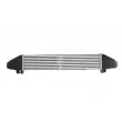 Intercooler, échangeur THERMOTEC DAM008TT - Visuel 2