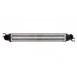 Intercooler, échangeur THERMOTEC DAB008TT - Visuel 1