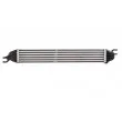 Intercooler, échangeur THERMOTEC DAB008TT - Visuel 2