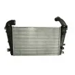 Intercooler, échangeur THERMOTEC DAX008TT - Visuel 2