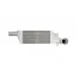 Intercooler, échangeur THERMOTEC DAX009TT - Visuel 1