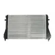 Intercooler, échangeur THERMOTEC DAW009TT - Visuel 2