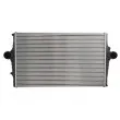 Intercooler, échangeur THERMOTEC DAV001TT - Visuel 1