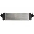 Intercooler, échangeur THERMOTEC DA8001TT - Visuel 1