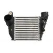 Intercooler, échangeur THERMOTEC DAA008TT - Visuel 1