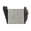 Intercooler, échangeur THERMOTEC DAA008TT - Visuel 2