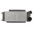 Intercooler, échangeur THERMOTEC DAG014TT - Visuel 1