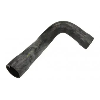 Durite de radiateur THERMOTEC DWB038TT
