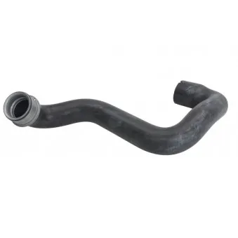 Durite de radiateur THERMOTEC DWM076TT