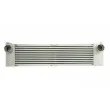 Intercooler, échangeur THERMOTEC DAM014TT - Visuel 1
