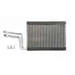 Evaporateur climatisation THERMOTEC KTT150030 - Visuel 1