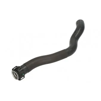 Durite de radiateur THERMOTEC DWP117TT