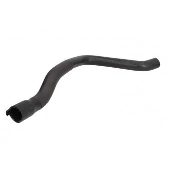 Durite de radiateur THERMOTEC DWP096TT
