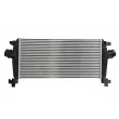 Intercooler, échangeur THERMOTEC DAX012TT - Visuel 2