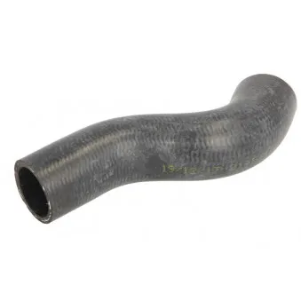 Durite de radiateur THERMOTEC DWX194TT