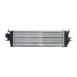 Intercooler, échangeur THERMOTEC DAX014TT - Visuel 2