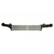 Intercooler, échangeur THERMOTEC DAM010TT - Visuel 1