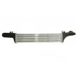 Intercooler, échangeur THERMOTEC DAM010TT - Visuel 2