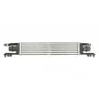 Intercooler, échangeur THERMOTEC DAX010TT - Visuel 1