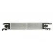 Intercooler, échangeur THERMOTEC DAX010TT - Visuel 2
