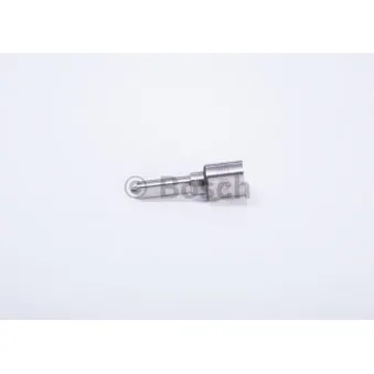 Buse/Gicleur/Injecteur BOSCH 0 433 175 456