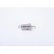 Nez d'injecteur BOSCH 0 434 250 027 - Visuel 1