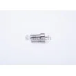 Nez d'injecteur BOSCH 0 434 250 063 - Visuel 1