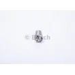 Nez d'injecteur BOSCH 0 434 250 103 - Visuel 2
