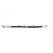 Flexible de frein BOSCH 1 987 481 A27 - Visuel 1