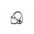 Kit de distribution BOSCH 1 987 946 581 - Visuel 3