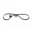 Kit de distribution BOSCH 1 987 946 588 - Visuel 3