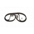 Kit de distribution BOSCH 1 987 948 970 - Visuel 3
