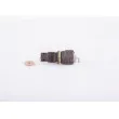 Gicleur, injection BOSCH F 00N 201 320 - Visuel 3
