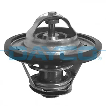 Thermostat d'eau DAYCO DT1021V