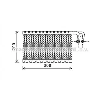 Evaporateur climatisation AVA QUALITY COOLING BWV399