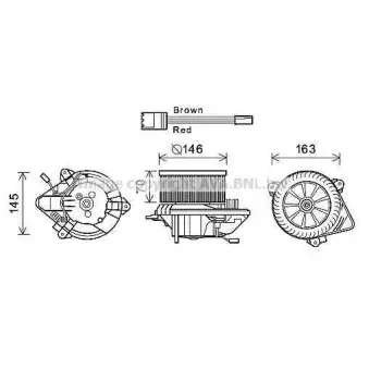 Moteur électrique, pulseur d'air habitacle AVA QUALITY COOLING CN8294