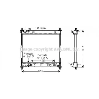 Radiateur, refroidissement du moteur AVA QUALITY COOLING DWA2104