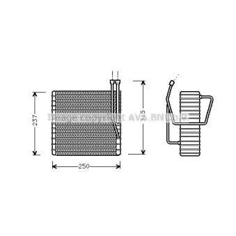 Evaporateur climatisation AVA QUALITY COOLING JEV009