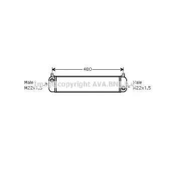 Radiateur d'huile AVA QUALITY COOLING MS3010