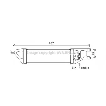 Radiateur d'huile de boîte automatique AVA QUALITY COOLING MS3539